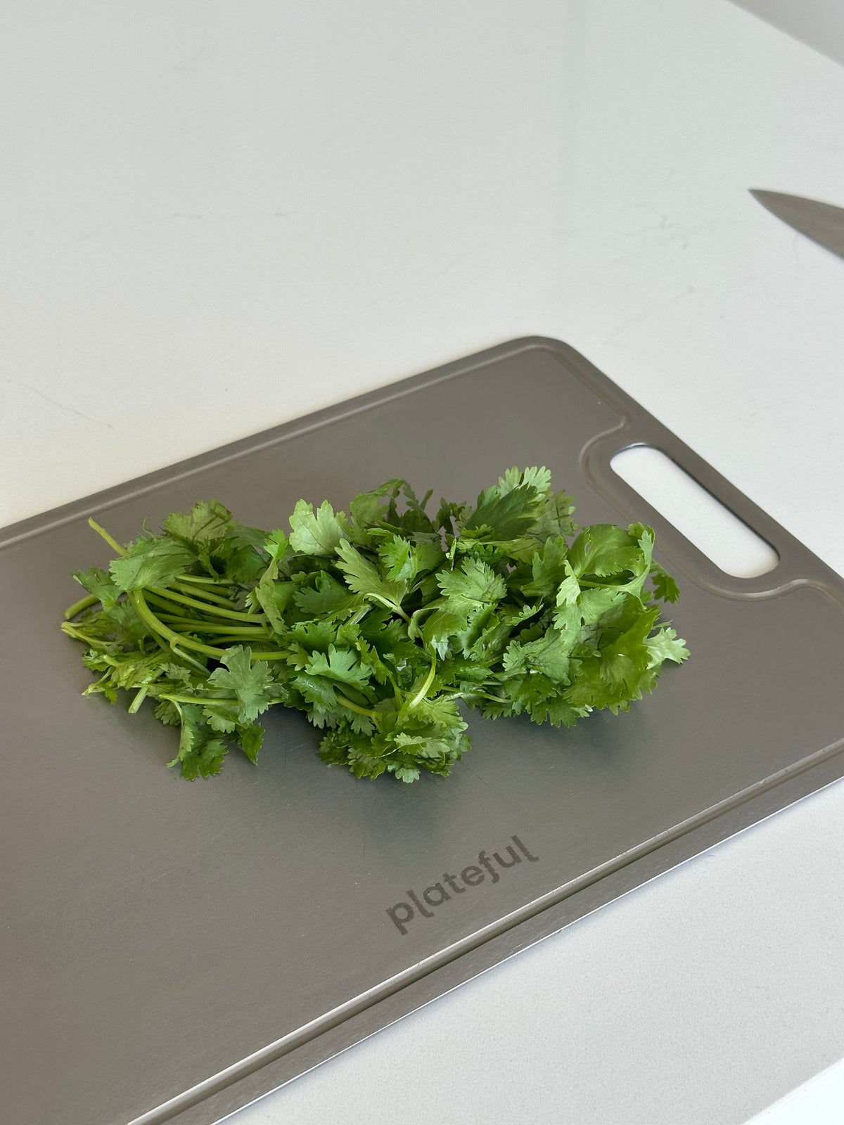 Titanium Cutting Board